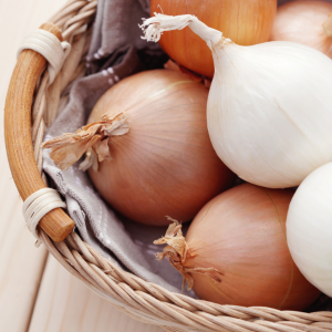 Close up of a bowl containing white and yellow onion freshly picked.